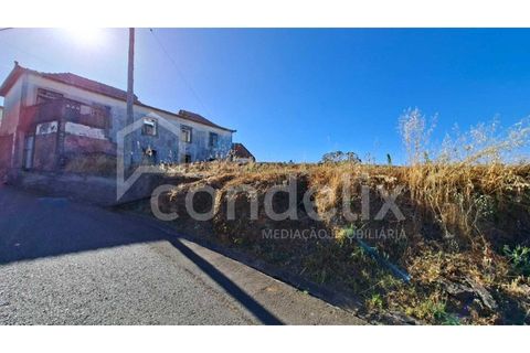 Villa i Calheta, Madeira, Calheta - € 195.000 | Ref: 101217 - foto 10