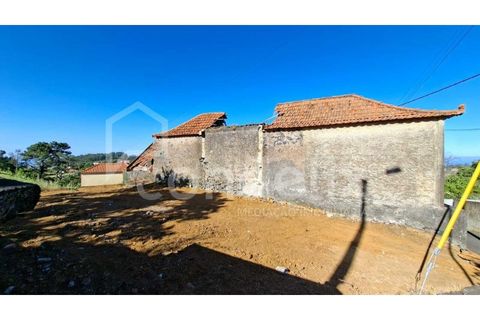 Villa i Calheta, Madeira, Calheta - € 195.000 | Ref: 101217 - foto 13