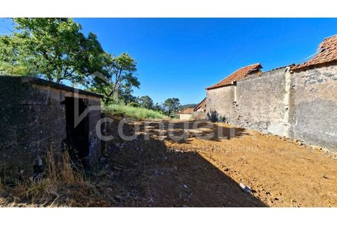 Villa i Calheta, Madeira, Calheta - € 195.000 | Ref: 101217 - foto 15