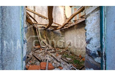 Villa i Calheta, Madeira, Calheta - € 195.000 | Ref: 101217 - foto 20