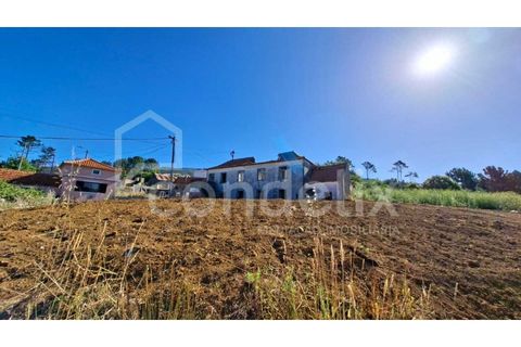 Villa i Calheta, Madeira, Calheta - € 195.000 | Ref: 101217 - foto 22