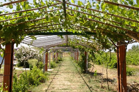 Farm hus i Estremoz, Evora, Estremoz - € 398.000 | Ref: 14101 - foto 3
