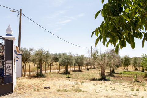 Farm hus i Estremoz, Evora, Estremoz - € 398.000 | Ref: 14101 - foto 10