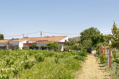 Farm hus i Estremoz, Evora, Estremoz - € 398.000 | Ref: 14101 - foto 11