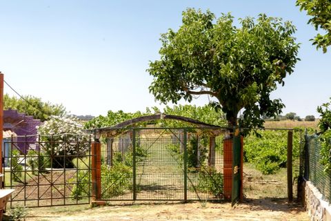 Farm hus i Estremoz, Evora, Estremoz - € 398.000 | Ref: 14101 - foto 12