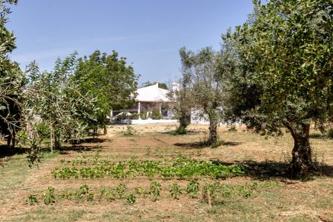 Farm hus i Estremoz, Evora, Estremoz - € 398.000 | Ref: 14101 - foto 15