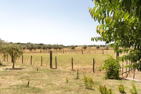 Farm hus i Estremoz, Evora, Estremoz - € 398.000 | Ref: 14101 - foto 19