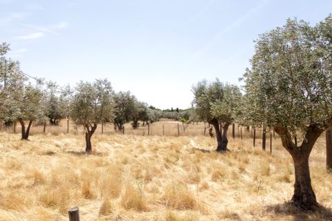 Farm hus i Estremoz, Evora, Estremoz - € 398.000 | Ref: 14101 - foto 20
