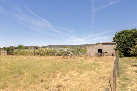 Farm hus i Estremoz, Evora, Estremoz - € 398.000 | Ref: 14101 - foto 22
