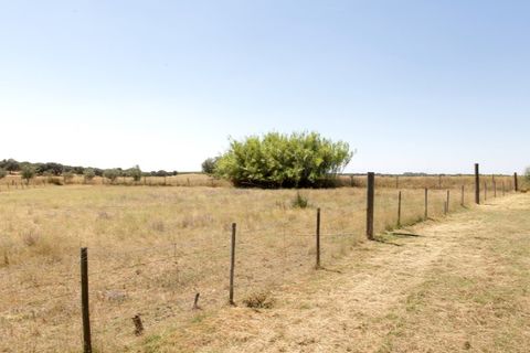 Farm hus i Estremoz, Evora, Estremoz - € 398.000 | Ref: 14101 - foto 23