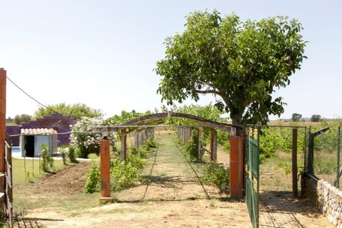 Farm hus i Estremoz, Evora, Estremoz - € 398.000 | Ref: 14101 - foto 26