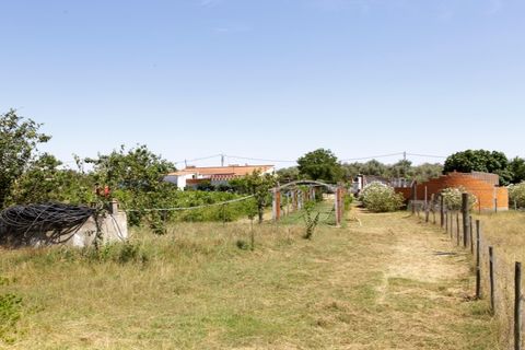 Farm hus i Estremoz, Evora, Estremoz - € 398.000 | Ref: 14101 - foto 27