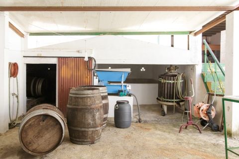 Farm hus i Estremoz, Evora, Estremoz - € 398.000 | Ref: 14101 - foto 35
