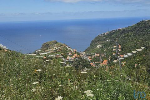 Tomt i Ribeira Brava, Madeira, Ribeira Brava - € 150 000 | Ref: 145045 - foto 2
