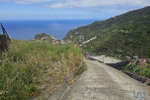 Tomt i Ribeira Brava, Madeira, Ribeira Brava - € 150 000 | Ref: 145045 - foto 3