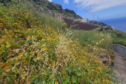 Tomt i Ribeira Brava, Madeira, Ribeira Brava - € 150 000 | Ref: 145045 - foto 4