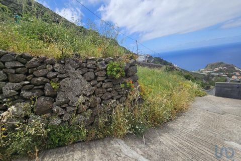 Tomt i Ribeira Brava, Madeira, Ribeira Brava - € 150 000 | Ref: 145045 - foto 5