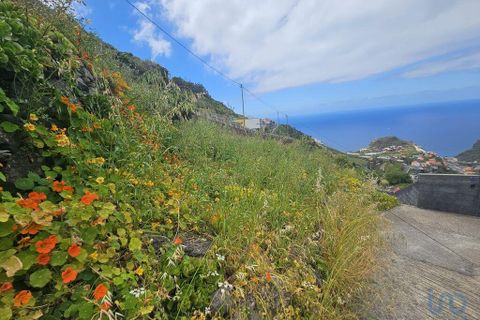 Tomt i Ribeira Brava, Madeira, Ribeira Brava - € 150 000 | Ref: 145045 - foto 7