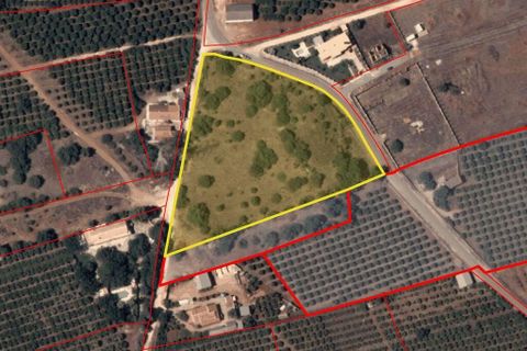 Helårsgrund i Silves, Faro, Silves - € 215.000 | Ref: 145623 - foto 1