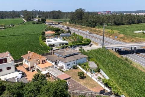 Villa a Angeiras, Porto, Angeiras - € 410.000 | Ref: ZMPT579241 - foto 24