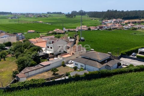 Villa a Angeiras, Porto, Angeiras - € 410.000 | Ref: ZMPT579241 - foto 26