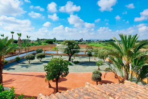 Villa en Catral, Alicante, Catral - € 385.000 | Ref: 5312 - photo 7