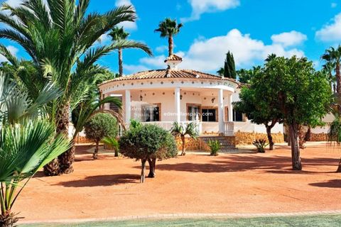 Villa en Catral, Alicante, Catral - € 385.000 | Ref: 5312 - photo 1
