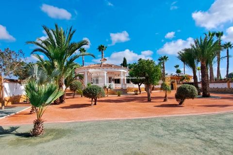 Villa en Catral, Alicante, Catral - € 385.000 | Ref: 5312 - photo 13