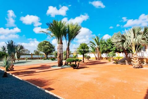 Villa en Catral, Alicante, Catral - € 385.000 | Ref: 5312 - photo 3