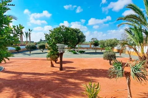 Villa en Catral, Alicante, Catral - € 385.000 | Ref: 5312 - photo 12