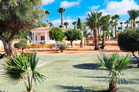 Villa en Catral, Alicante, Catral - € 385.000 | Ref: 5312 - photo 5
