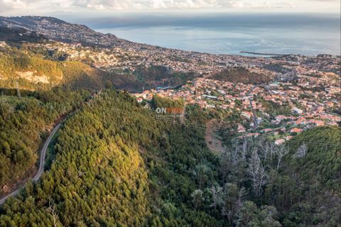 Terra a Sao Roque, Madeira, Sao Roque - € 130.000 | Ref: 123511227-233 - foto 2