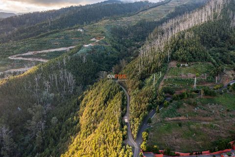 Terra a Sao Roque, Madeira, Sao Roque - € 130.000 | Ref: 123511227-233 - foto 3