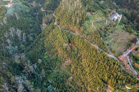 Terra a Sao Roque, Madeira, Sao Roque - € 130.000 | Ref: 123511227-233 - foto 6