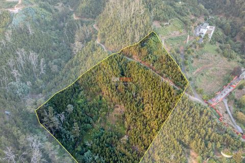 Terra a Sao Roque, Madeira, Sao Roque - € 130.000 | Ref: 123511227-233 - foto 7