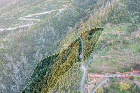 Terra a Sao Roque, Madeira, Sao Roque - € 130.000 | Ref: 123511227-233 - foto 9