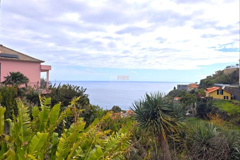Helårsgrund i Calheta, Madeira, Calheta - € 315.000 | Ref: 124561036-199 - foto 2