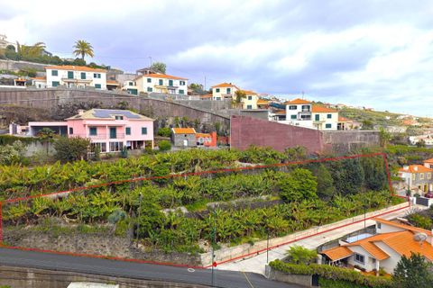 Helårsgrund i Calheta, Madeira, Calheta - € 315.000 | Ref: 124561036-199 - foto 3