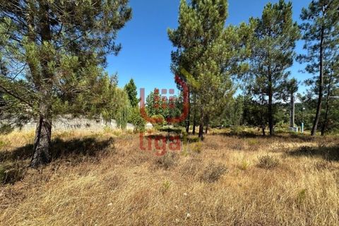 Helårsgrund i Ourem, Santarem, Ourem - € 49.500 | Ref: 1332 - foto 12