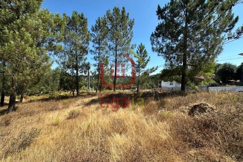 Helårsgrund i Ourem, Santarem, Ourem - € 49.500 | Ref: 1332 - foto 13