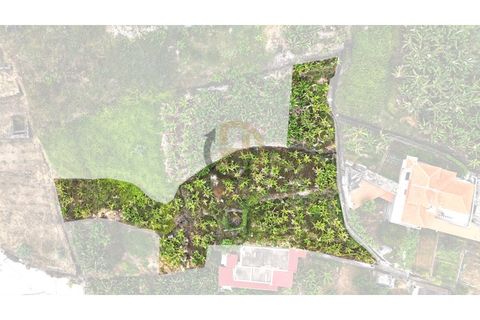 Helårsgrund i Arco da Calheta, Madeira, Arco da Calheta - € 125.000 | Ref: TER_11 - foto 1