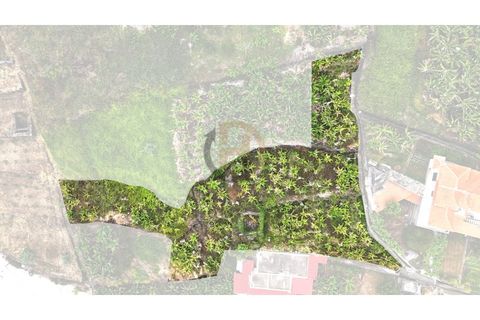 Helårsgrund i Arco da Calheta, Madeira, Arco da Calheta - € 125.000 | Ref: TER_11 - foto 3