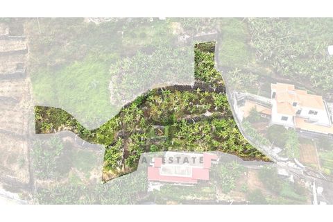 Helårsgrund i Arco da Calheta, Madeira, Arco da Calheta - € 125.000 | Ref: TER_11 - foto 5