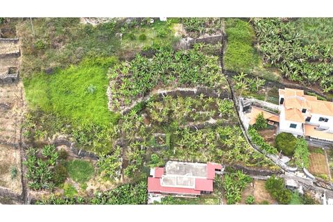 Helårsgrund i Arco da Calheta, Madeira, Arco da Calheta - € 125.000 | Ref: TER_11 - foto 6