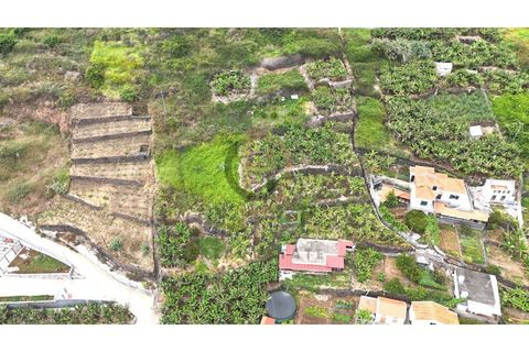 Helårsgrund i Arco da Calheta, Madeira, Arco da Calheta - € 125.000 | Ref: TER_11 - foto 7