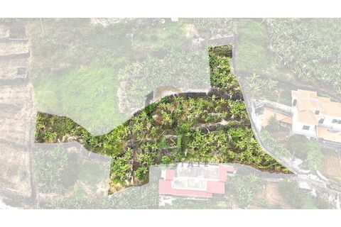Helårsgrund i Arco da Calheta, Madeira, Arco da Calheta - € 125.000 | Ref: TER_11 - foto 8