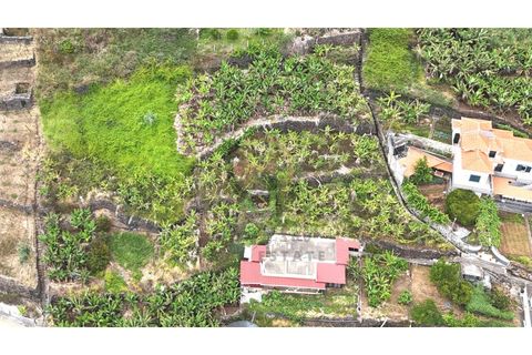 Helårsgrund i Arco da Calheta, Madeira, Arco da Calheta - € 125.000 | Ref: TER_11 - foto 9