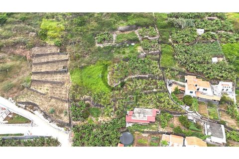 Helårsgrund i Arco da Calheta, Madeira, Arco da Calheta - € 125.000 | Ref: TER_11 - foto 10