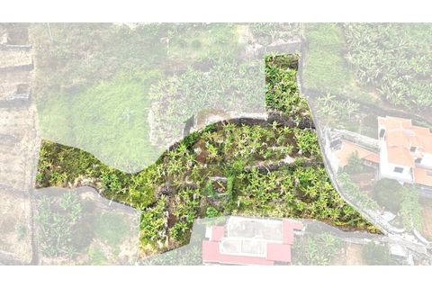 Helårsgrund i Arco da Calheta, Madeira, Arco da Calheta - € 125.000 | Ref: TER_11 - foto 11