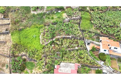 Helårsgrund i Arco da Calheta, Madeira, Arco da Calheta - € 125.000 | Ref: TER_11 - foto 12